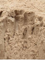 Photo Textures of Sand